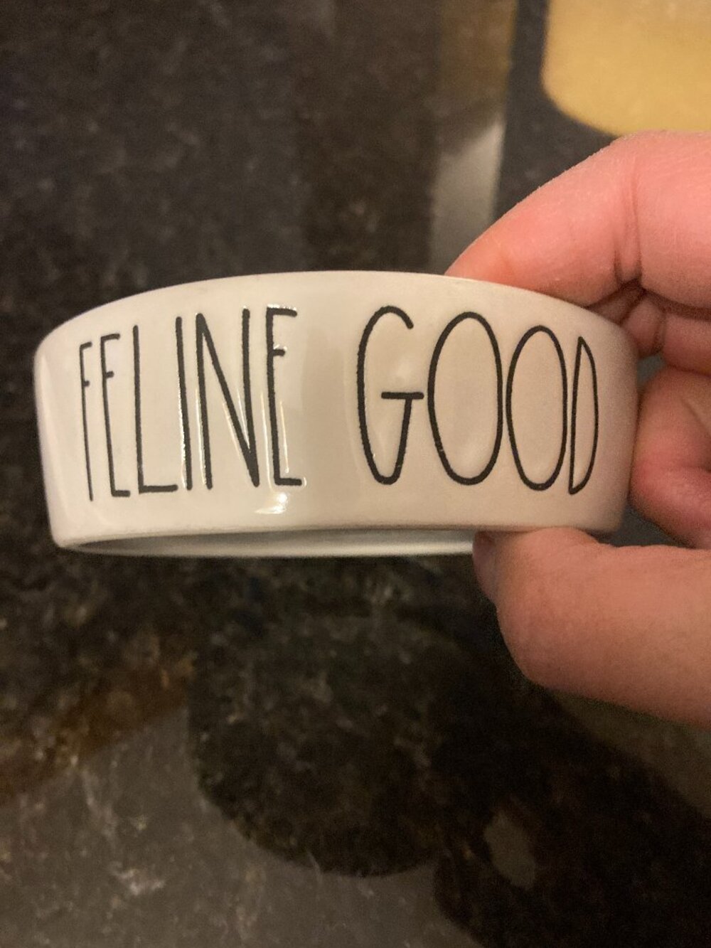 Rae Dunn Cat Water Food Bowl